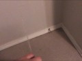 Pissing all over my bedroom carpet and wall, while fingering my Pee Hole and almost caught