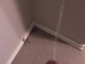 Pissing all over my bedroom carpet and wall, leave a huge messy puddle