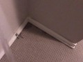 Pissing all over my bedroom carpet and wall, leave a huge messy puddle
