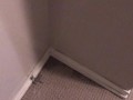 Pissing all over my bedroom carpet and wall, leave a huge messy puddle