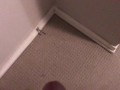 Pissing all over my bedroom carpet and wall, leave a huge messy puddle