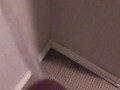 Pissing all over my bedroom carpet and wall, leave a huge messy puddle