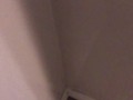 Pissing all over my bedroom carpet and wall, leave a huge messy puddle