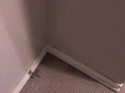 Pissing all over my bedroom carpet and wall, leave a huge messy puddle