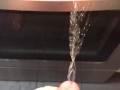 Pissing all over my kitchen stove and floor