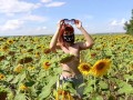 Sunflowers