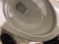 Pissing in the Toilet at my Posh work environment (Compilation)