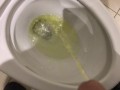 Pissing in the Toilet at my Posh work environment (Compilation)