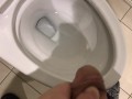 Pissing in the Toilet at my Posh work environment (Compilation)