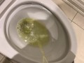 Pissing in the Toilet at my Posh work environment (Compilation)