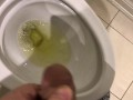 Pissing in the Toilet at my Posh work environment (Compilation)
