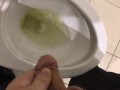 Pissing in the Toilet at my Posh work environment (Compilation)