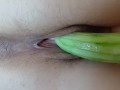 Cucumber Seduction – Wet & Wild Solo Masturbation Session