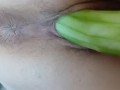 Cucumber Seduction – Wet & Wild Solo Masturbation Session
