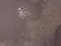 Peeing All Over My Soaking Piss-Stained Carpet
