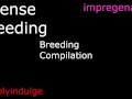 BREEDING COMPILATION/ BREEDING KINK 1 HOUR LONG AUDIO PORN/ IMPREGENATION KINK/ CREAMP PIE ASMR