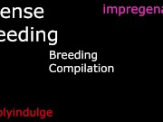 BREEDING COMPILATION/ BREEDING KINK 1 HOUR LONG AUDIO PORN/ IMPREGENATION KINK/ CREAMP PIE ASMR