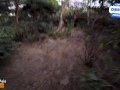 Stranger Girl Kissing in Jungle & Gets Fucked in Hotel
