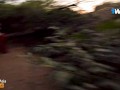 Stranger Girl Kissing in Jungle & Gets Fucked in Hotel