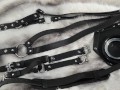 Nothosaur Yrdeno: A Heavy-Duty Strap-On Harness for The Biggest of Beasts
