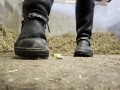 Riding boot sweet crush. POV giantess, boot worship