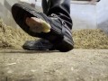 Riding boot sweet crush. POV giantess, boot worship