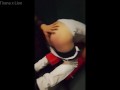 Mi experiencia en el Salón Erótico Argentina! Relato y paja en el uber 🥵
