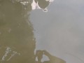I am so horny I need to masturbate even if someone will see me it is even better