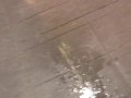 POV Yellow Morning Power Piss Leaves Huge Puddle on Kitchen Floor