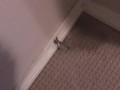 POV Power Pissing All Over My Bedroom Carpet and Walls (Compilation)