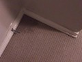 POV Power Pissing All Over My Bedroom Carpet and Walls (Compilation)