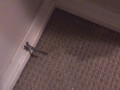 POV Power Pissing All Over My Bedroom Carpet and Walls (Compilation)