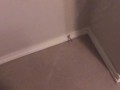 POV Power Pissing All Over My Bedroom Carpet and Walls (Compilation)