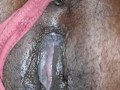 CLEAN My CREAMY PUSSY Daddy - I Haven't Washed for 5 DAYS