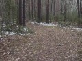 Naturist: Polish man walks through frozen forest (naked dick) - KolowskiBRO NAKED!!!