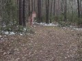 Naturist: Polish man walks through frozen forest (naked dick) - KolowskiBRO NAKED!!!