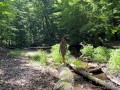 70 asian milf gets naked fucks and suck in the woods huge facial Appleliu76