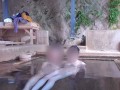混浴露天風呂に入ったら誰も居なかったので昼間っからイケナイ性交