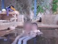 混浴露天風呂に入ったら誰も居なかったので昼間っからイケナイ性交