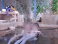 混浴露天風呂に入ったら誰も居なかったので昼間っからイケナイ性交