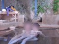 混浴露天風呂に入ったら誰も居なかったので昼間っからイケナイ性交