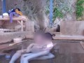 混浴露天風呂に入ったら誰も居なかったので昼間っからイケナイ性交