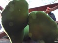 My nylon feet in green tights on your face