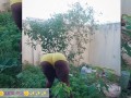 African gardener AKIILISA checking out the fruits of the season/lover's Tshirt and tiny booty short/
