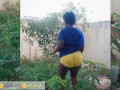 African gardener AKIILISA checking out the fruits of the season/lover's Tshirt and tiny booty short/