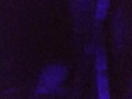 Latino Daddy Masturbating In Adult Sex Dungeon