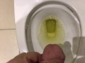 Pissing At My Work For A Full Day