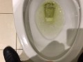 Pissing At My Work For A Full Day