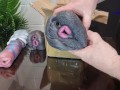 Unboxing / Review of order from Delices Defendus. Masturbators and Dildo (NOT SPONSORED)