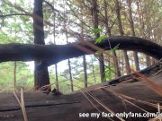I Use a Log in the Forest to Piss